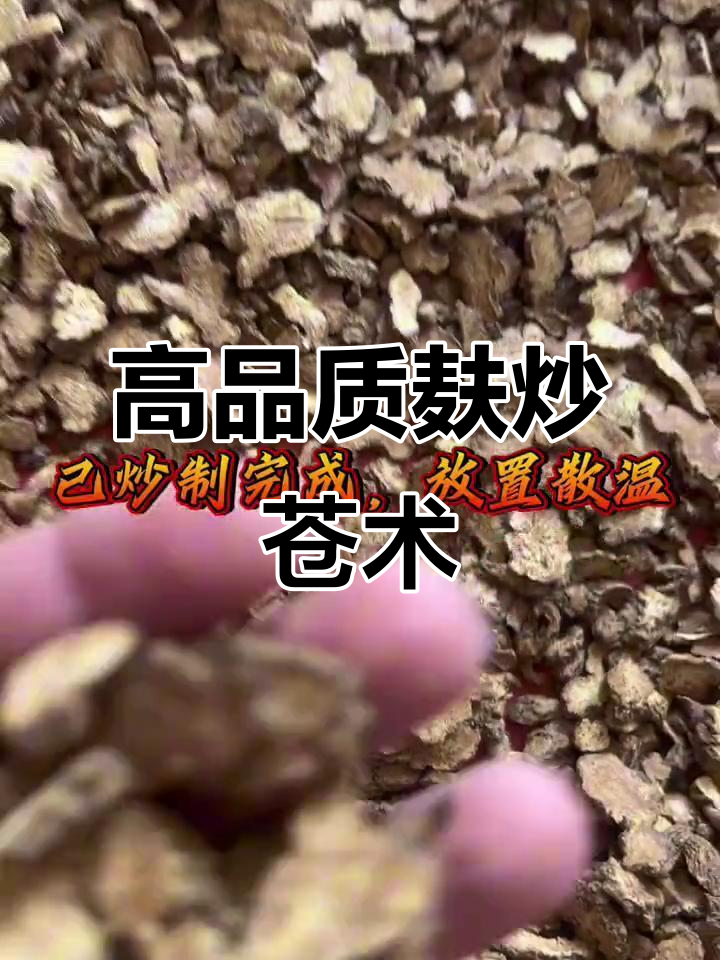 麸炒苍术的正确做法,8分钟炒出高品质药材