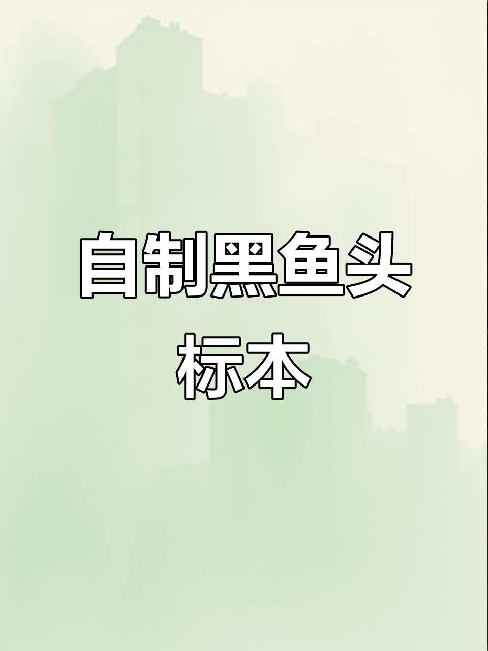 黑鱼头标本制作全流程,手工DIY大揭秘