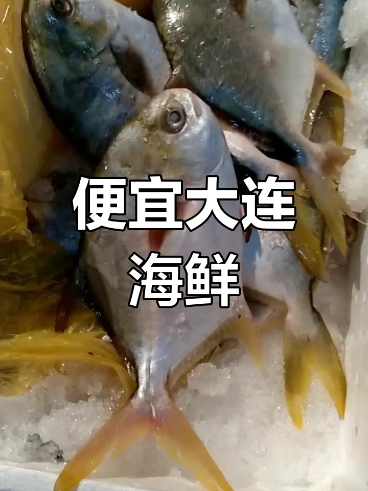 大连海鲜市场新鲜黄花鱼,价格实惠!