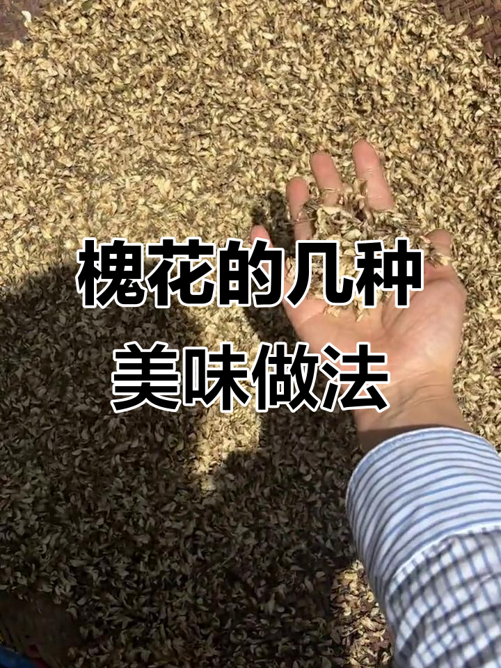 槐花吃法大揭秘:晒干包饺子,新鲜炒鸡蛋