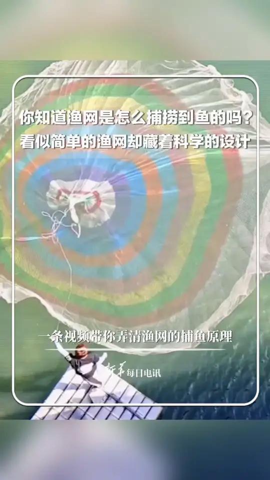 你知道渔网是怎么捕捞到鱼的吗？看似简单渔网，却藏着科学的设计。新华每日电讯