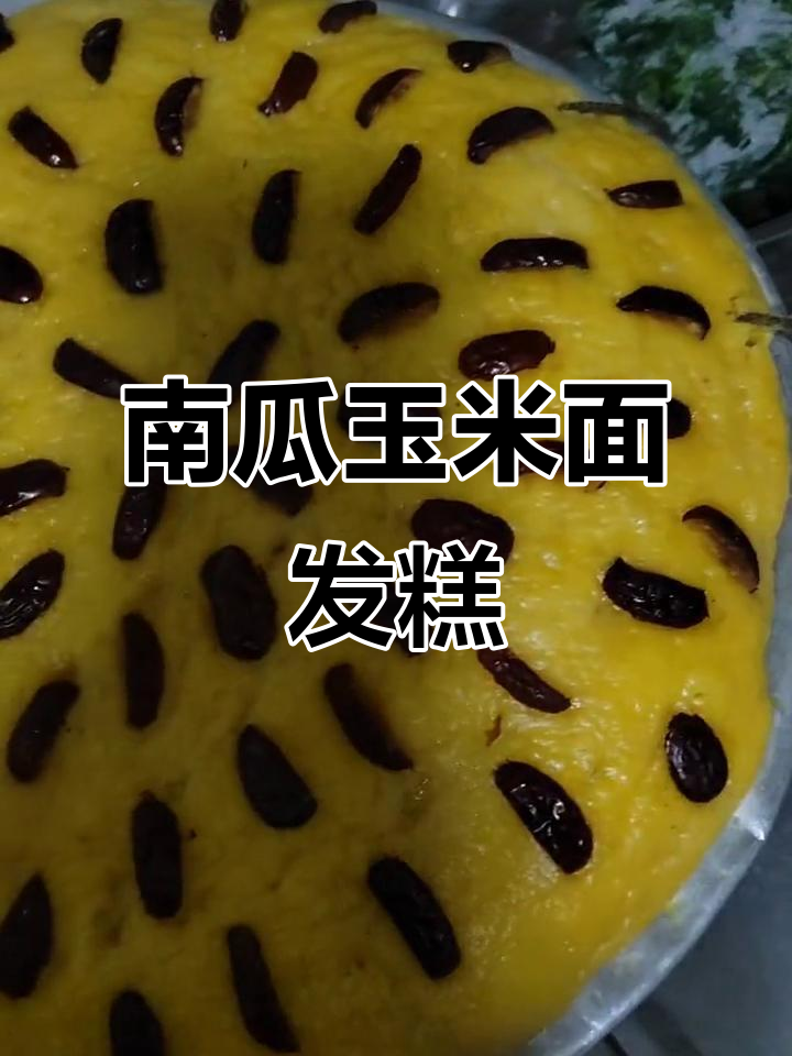 朋友送玉米面和南瓜,做发糕超美味!