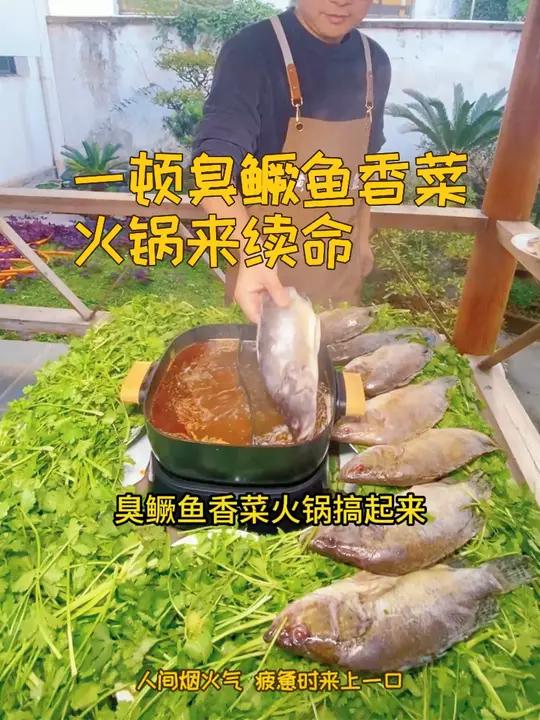 南北入冬美食大赏 在我们安徽黄山,入冬了必须整个臭鳜鱼香菜火锅暖暖胃,你们要不要试一试 冬