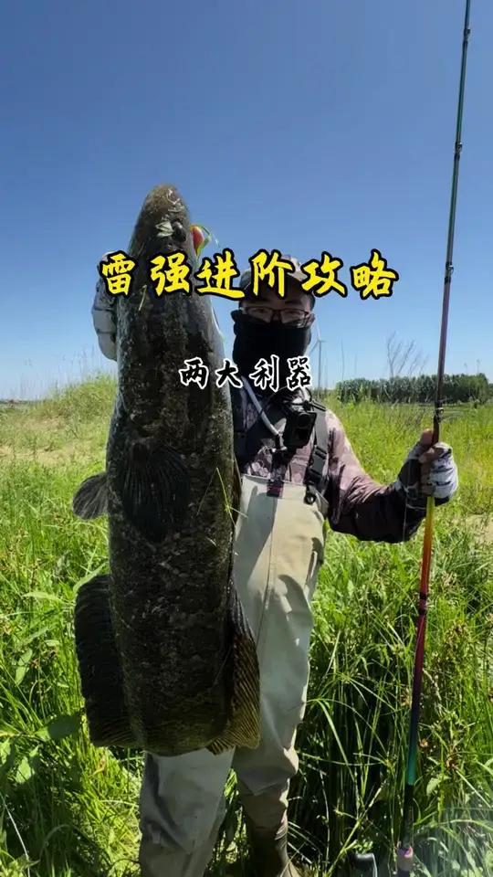 雷强进阶攻略,钓黑鱼的两大利器 雷强新手入门指南黑鱼怎么钓,软虫子弹铅钓组详细介绍,正值雷