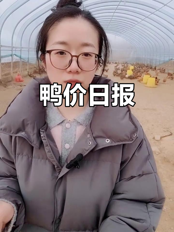 鸭蛋与淘汰鸭价格每日更新，养殖市场动态一网打尽！