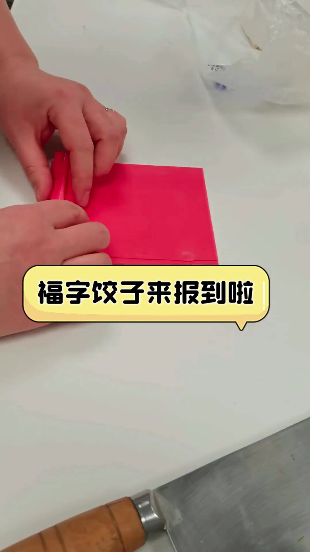 福字饺子来报到啦
