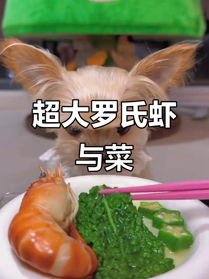 今天吃超大罗氏虾，配皱叶青菜，超满足！
