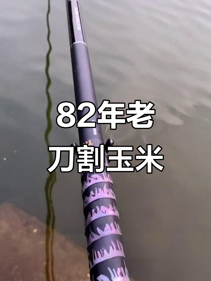 82年珍藏菜刀削玉米,禧玛诺钓竿助力水库钓鱼