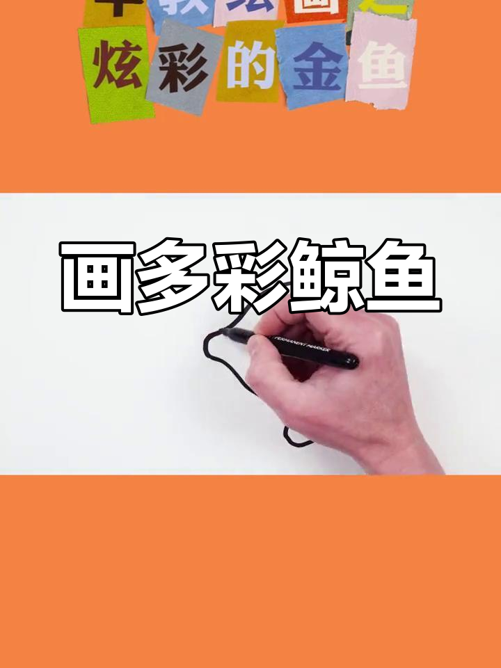 绘制彩色鲸鱼与条纹