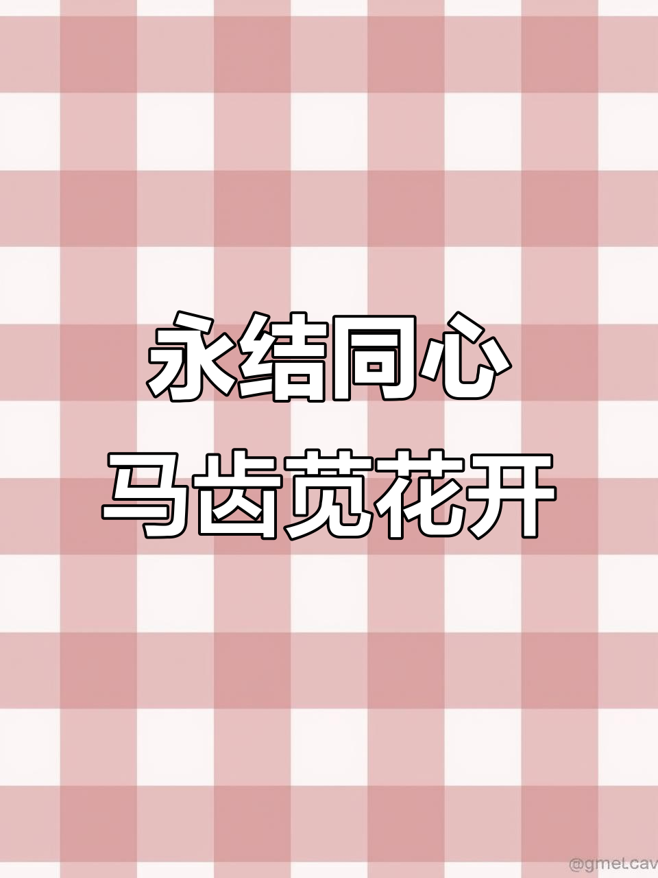 马齿苋花:坚韧与幸福的象征,开花带来好运