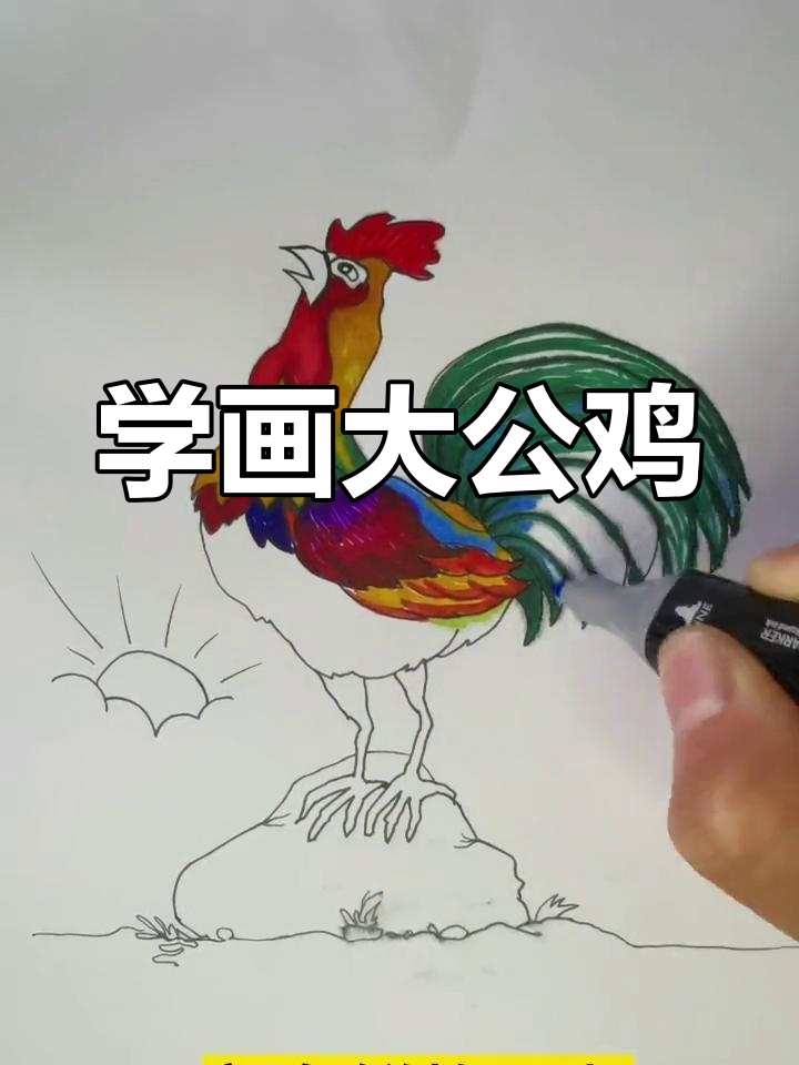 绘制大公鸡的简单步骤