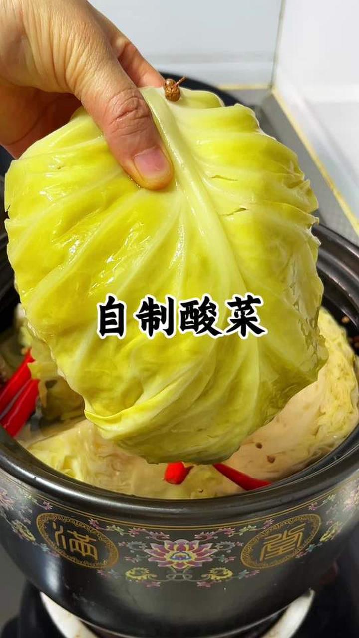 自制泡菜超简单，泡一晚就能吃上酸脆爽口的酸菜