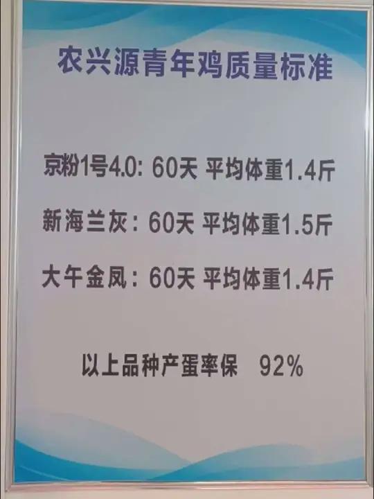 农兴源青年鸡鸡苗用过的都说好!优质鸡苗发家致富就靠它了