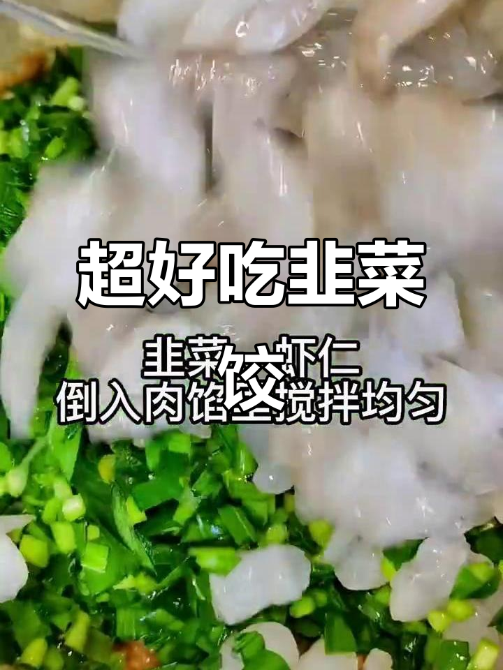 韭菜虾仁鲜肉饺子,馅料调得恰到好处,口感超赞!