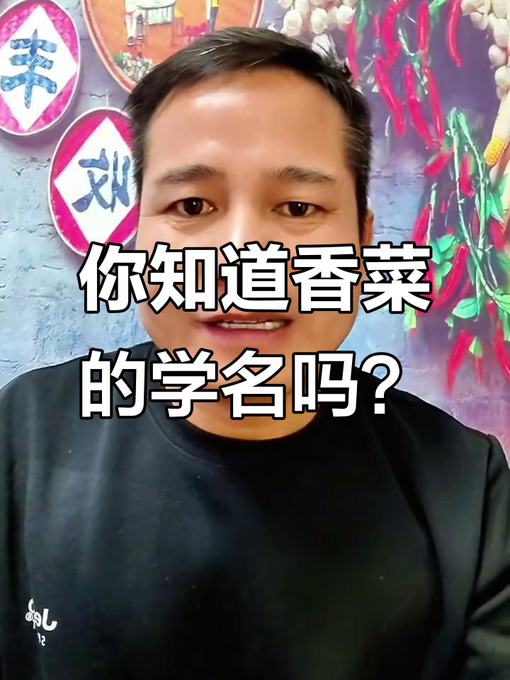 香菜学名叫芫荽,做法超简单!
