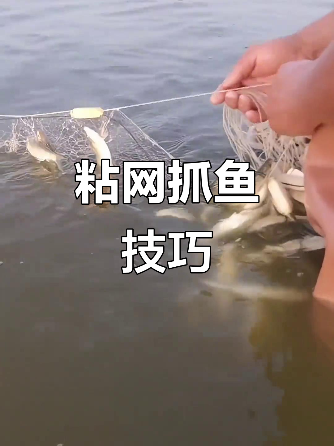 粘网捕鱼大作战,餐条鱼轻松入手!