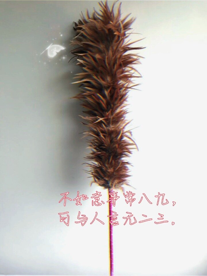 人生不如意事十有八九纵使生活一地鸡毛也要学会把鸡毛捡起来扎成