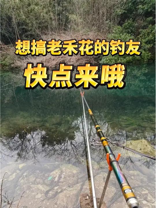 桂林的鱼确实难钓了,差点打了个纯龟