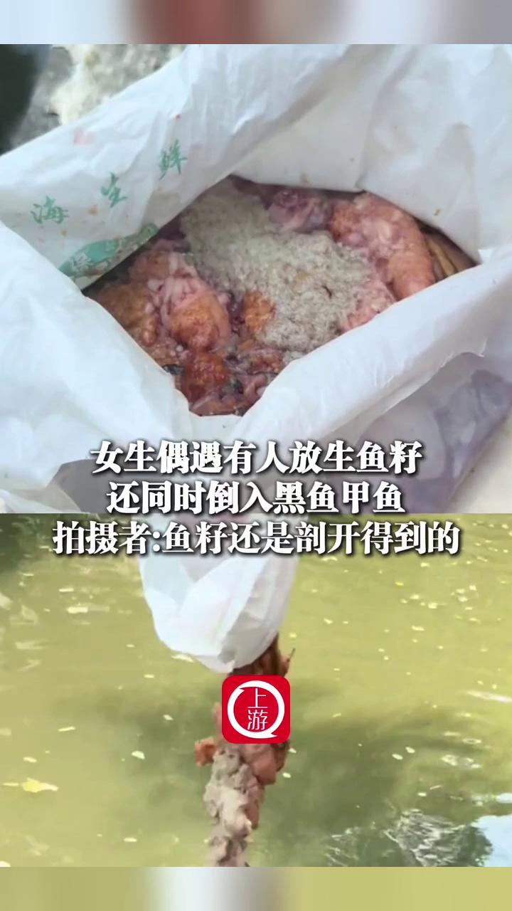 女生偶遇阿姨河边放生鱼籽,还倒入黑鱼甲鱼:鱼籽从黑鱼腹部剖开得来