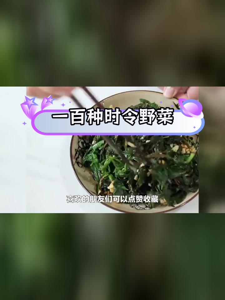 南北时令野菜大集合,吃过的人不多
