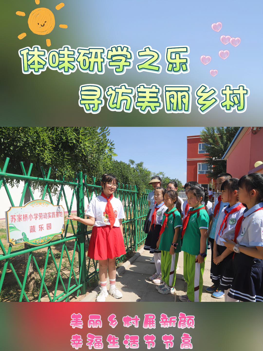 为了引导少先队员深入了解家乡特色产业取得的成就,感受乡村振兴发展成果,6月15日,桥西区南