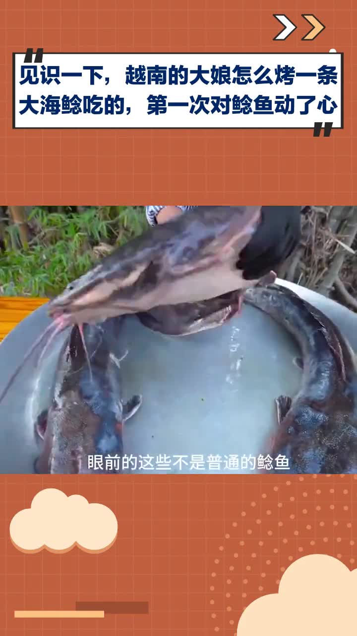 见识越南大娘烤大海鲶,我竟第一次对鲶鱼动了心