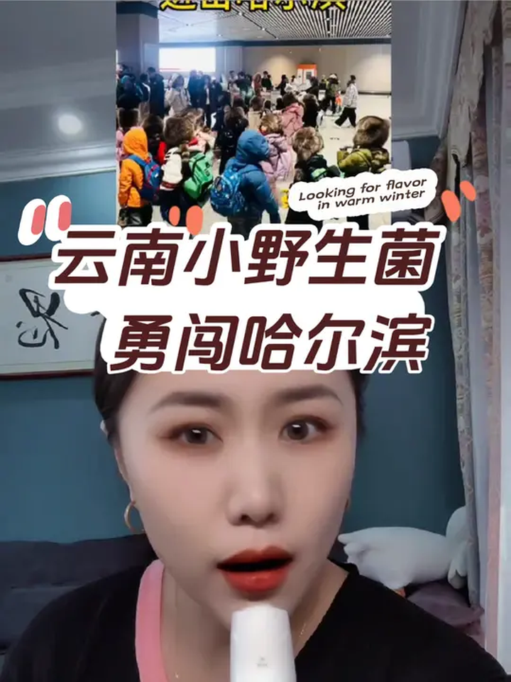 小砂糖橘殿下刚回家,这云南小野生菌就来勇闯哈尔滨了!