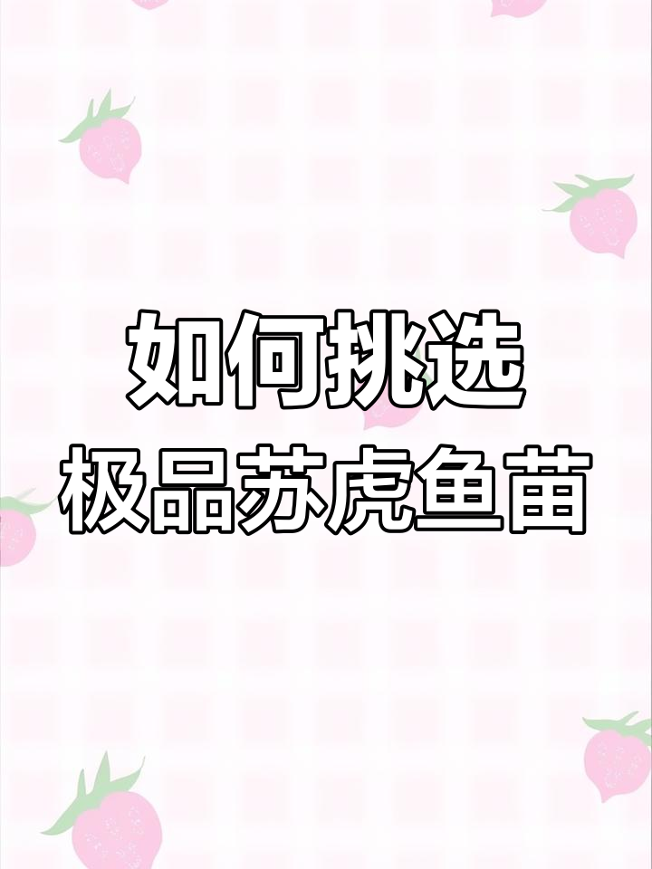 泰国虎、印尼苏虎与泰北长鸣虎的辨别技巧