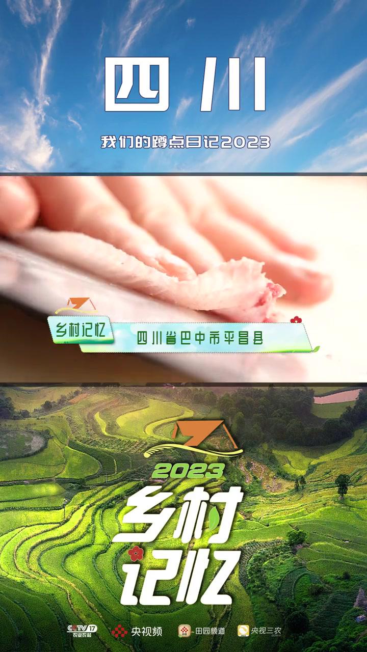 江口青鳙——从水里到嘴里的“鲜味” 乡村记忆2023 江口青鳙肉白如雪,细嫩鲜香,有骨无刺