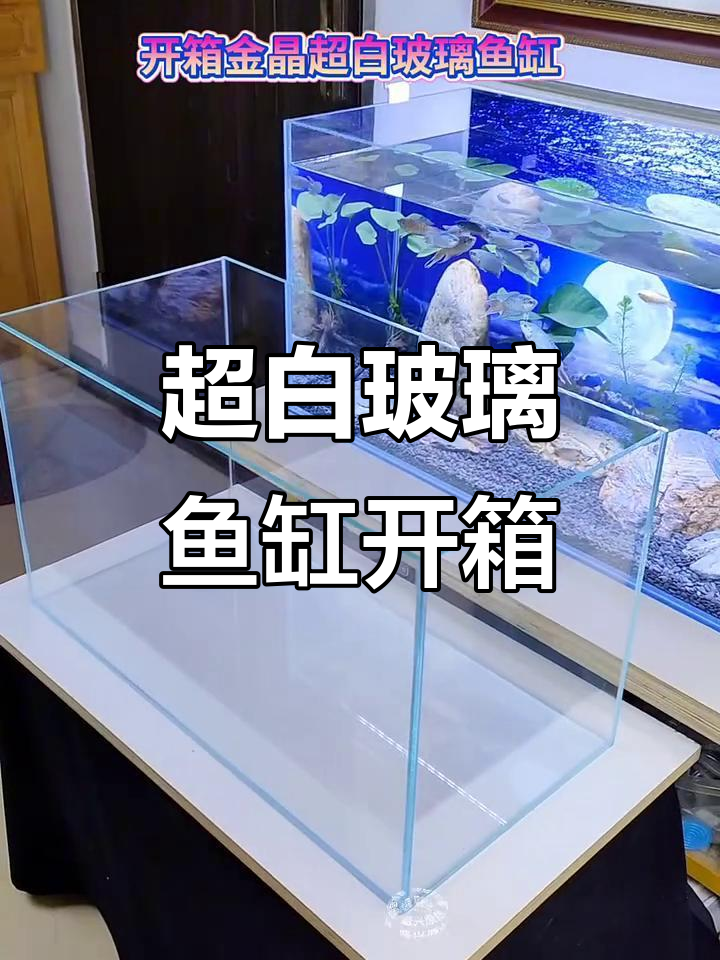 六十乘三十超白鱼缸,细节完美无瑕