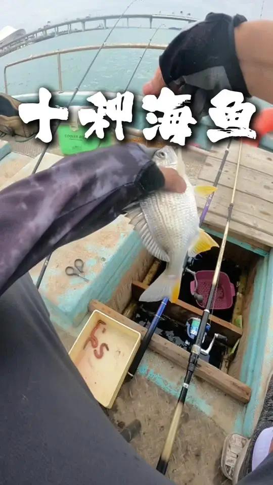 厦门出海挑战钓到十种不同品类的海鱼。海钓的魅力在于你永远不知道下一杆会是什么鱼?今天成功挑