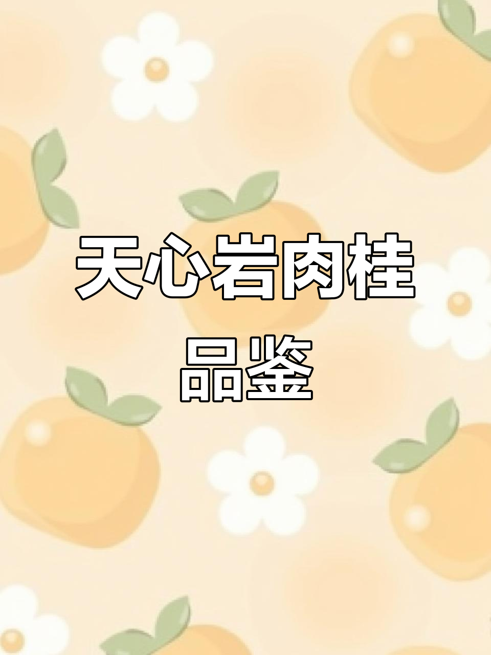 武夷岩茶天心岩肉桂:青云般的口感与人文情怀