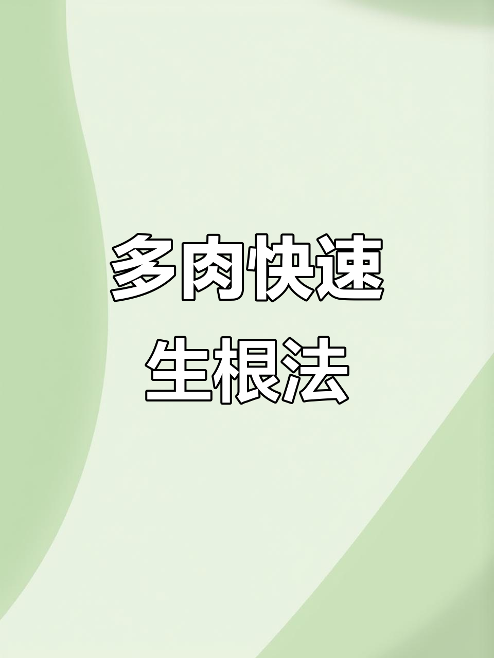 幽灵公主多肉快速生根技巧,轻松打造大白根