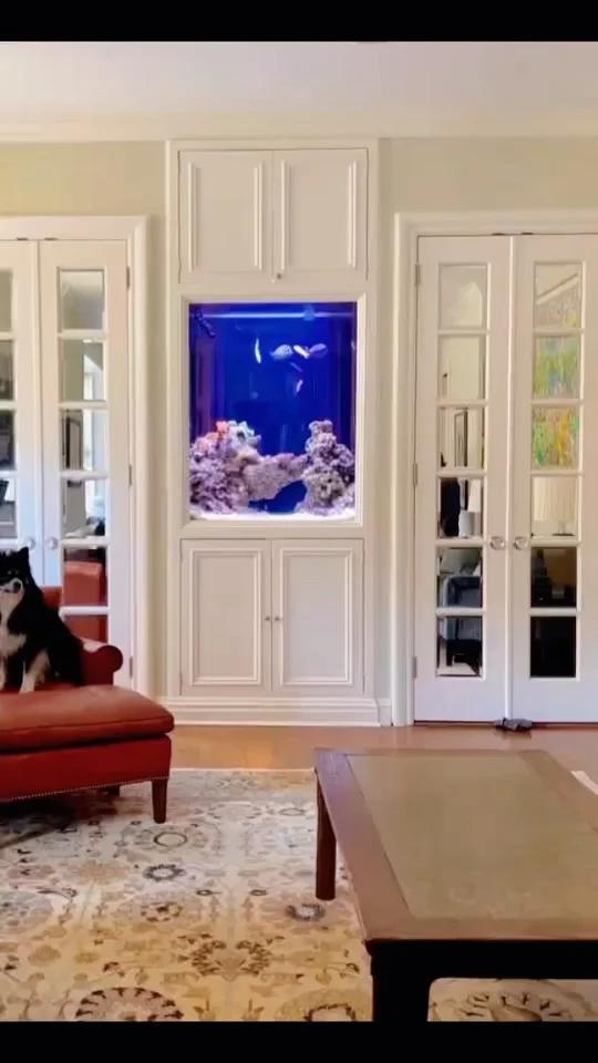 镶嵌式竖条型的鱼缸案例实在不多哦