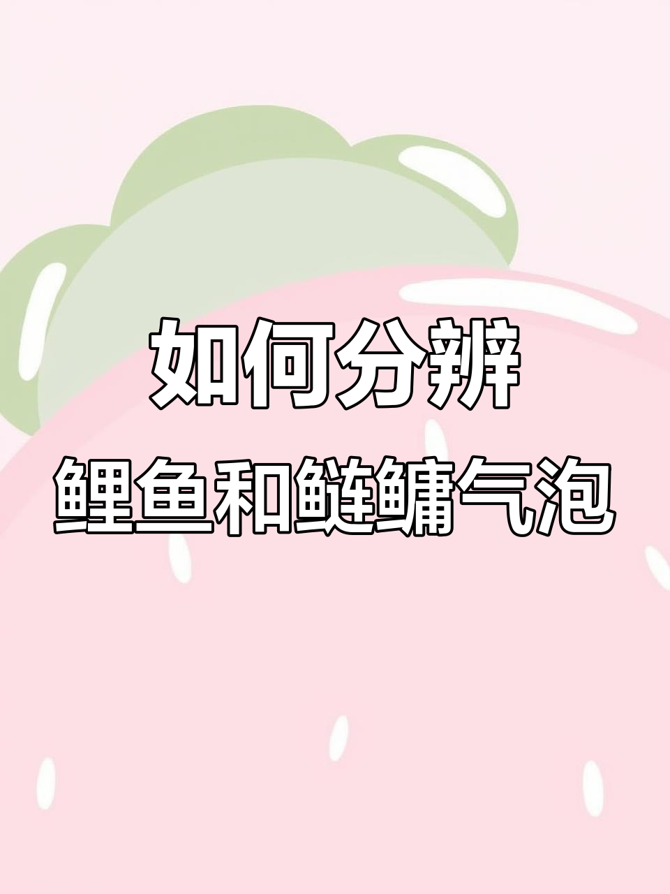 鲤鱼与鲢鳙的腥泡区别,如何判断鱼的种类和数量