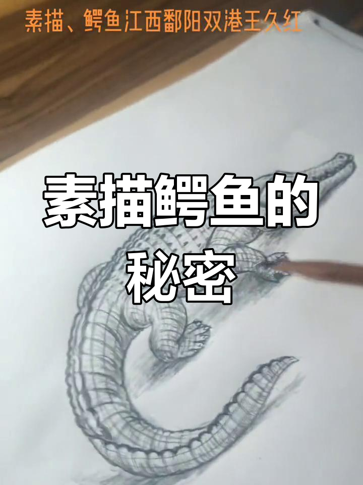 素描鳄鱼与爱情故事:角落里的春天