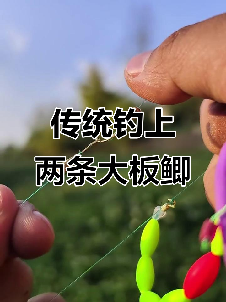 双钩朝天钓法,传统钓也能轻松中双尾鱼