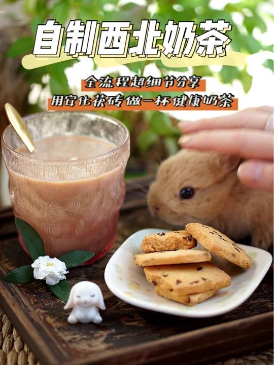 一口直飞大草原的奶茶!