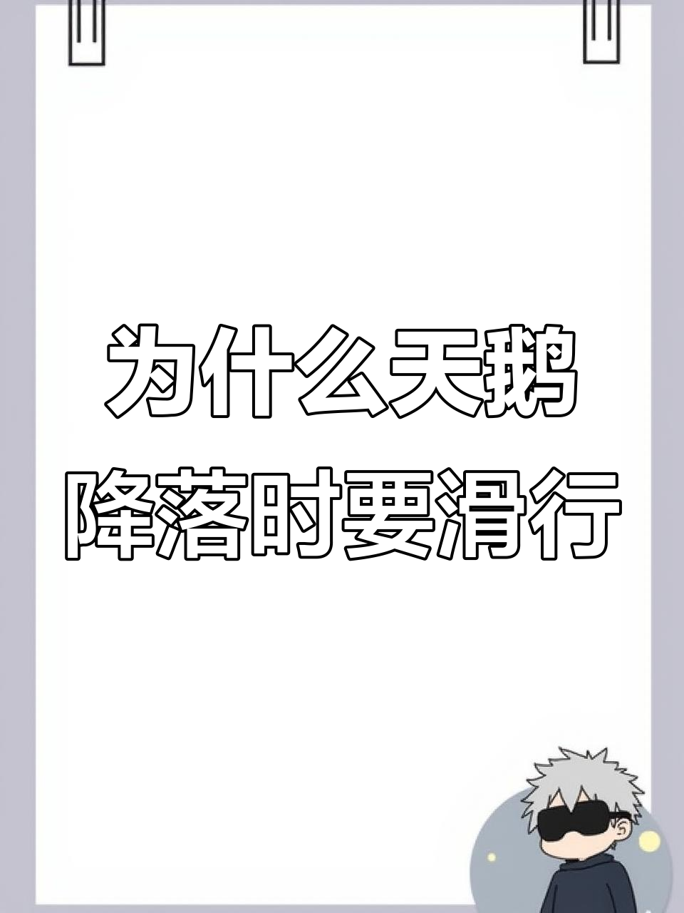 天鹅降落时为何要滑行?揭秘它们的“飞行技巧”