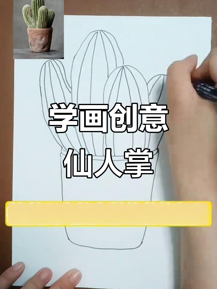 创意仙人掌黑白线描,轻松画出独特风格