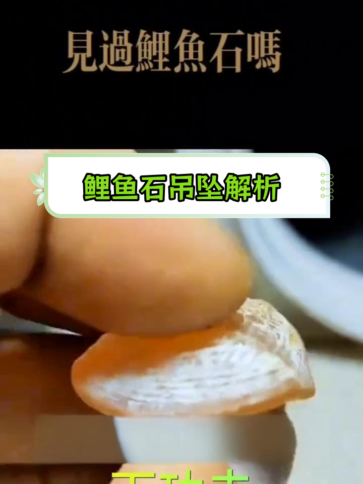 鲤鱼石与青鱼石的异同分析