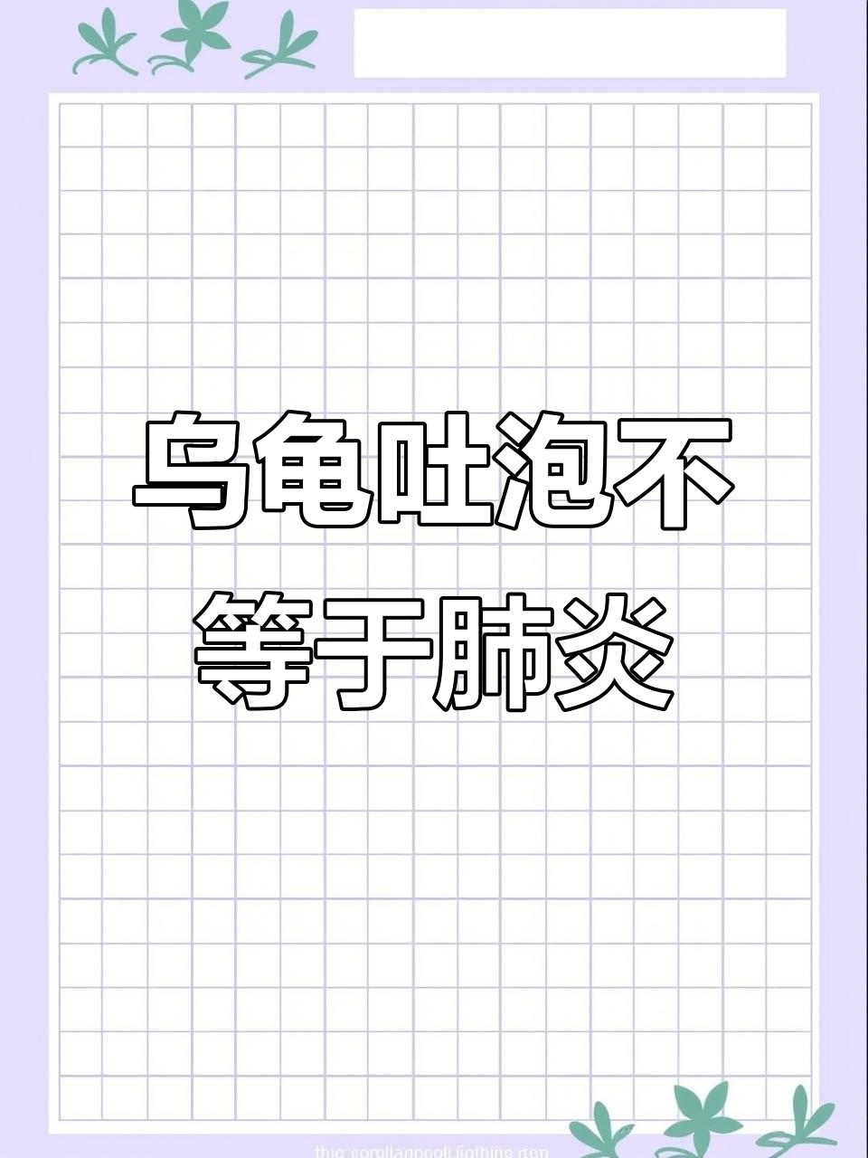 乌龟吐泡泡不一定是肺炎,感冒加温可自愈