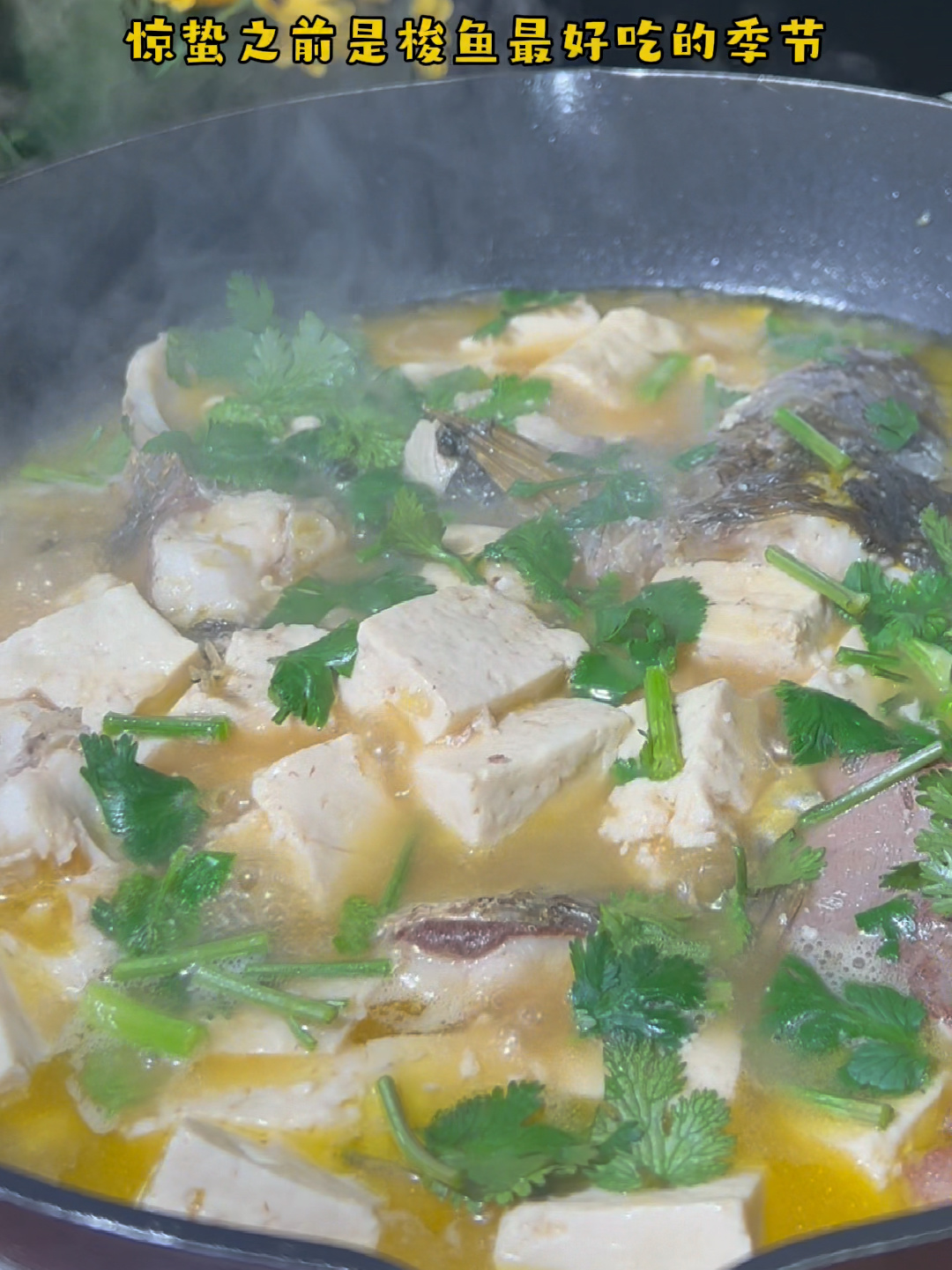 梭鱼炖豆腐