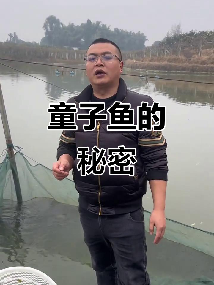童子鱼,肉质鲜嫩,最佳食用时机