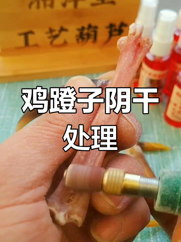 鸡蹬子保养技巧大揭秘,简单处理方法让你轻松上手