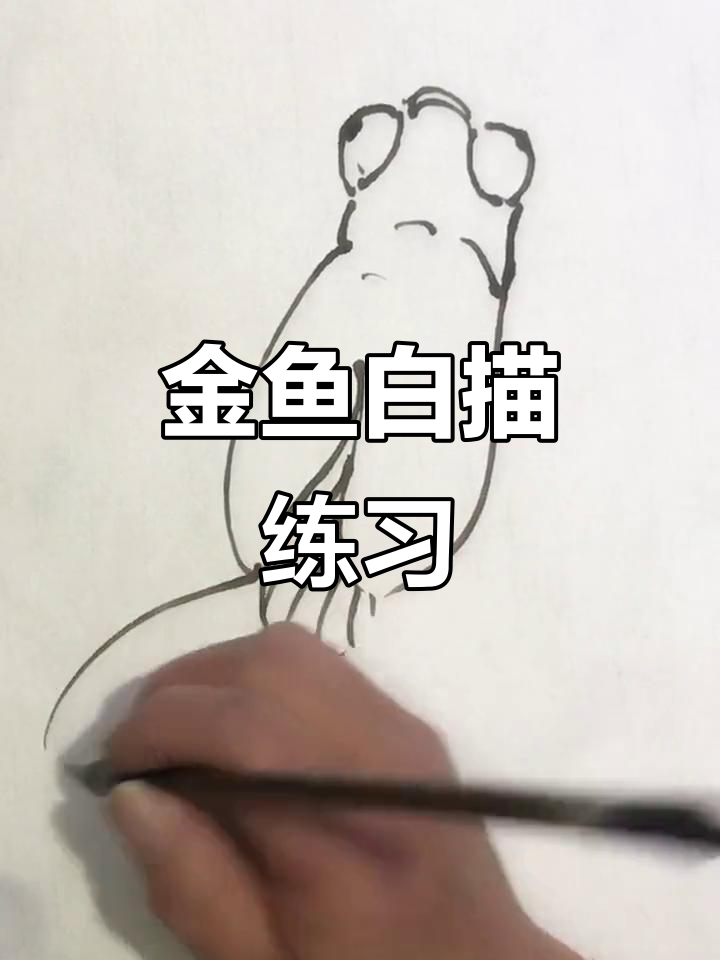 轻松学画金鱼，白描技巧入门