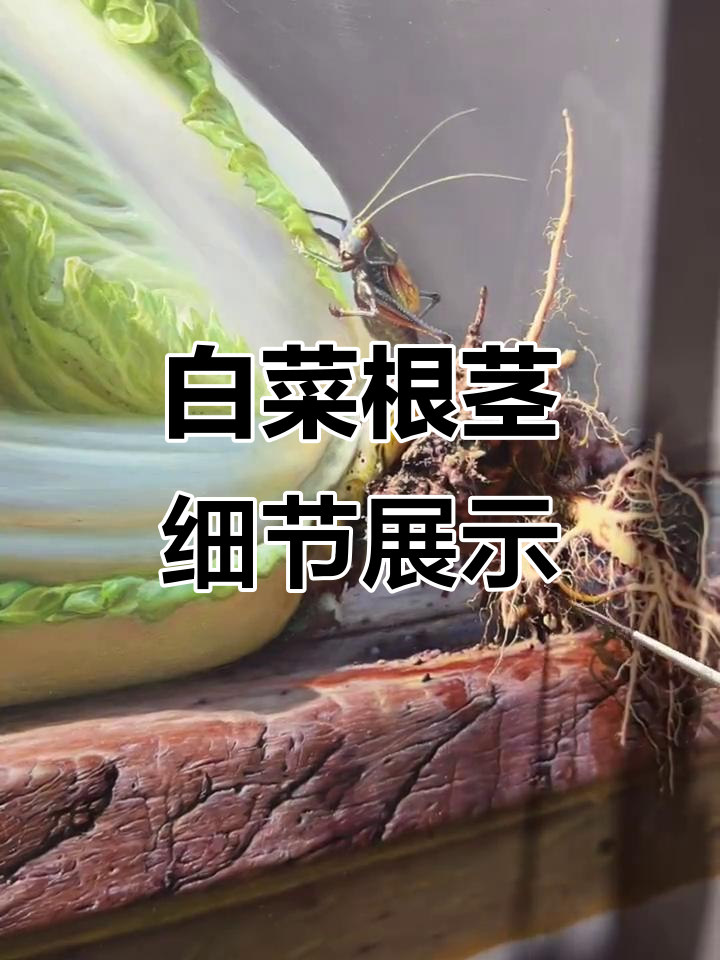 潘思源精细刻画白菜根茎,展现油画技艺