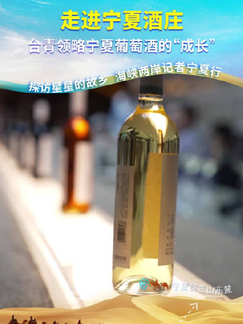 「台青探访宁夏葡萄酒庄」踏足贺兰山,探访星星的故乡,台青深入宁夏葡萄酒庄园,领略宁夏葡萄酒