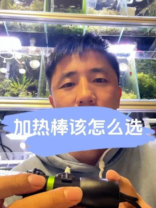 鱼缸加热棒该怎么选？怎么用？注意事项