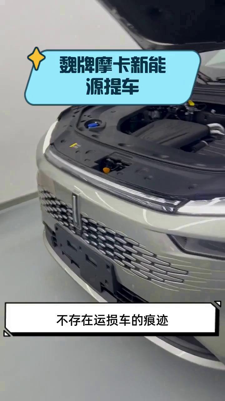 魏牌摩卡新能源提车